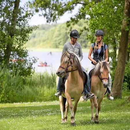 Mit Sauna Im Mirow Casa vacanze